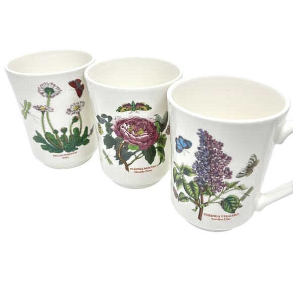 Botanic Garden Portmeirion Susan Williams-Ellis Mugs Set 3 Bellis Perennis Daisy - Picture 1 of 9